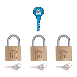 P1J30 - Brass Keyed Alike Padlock